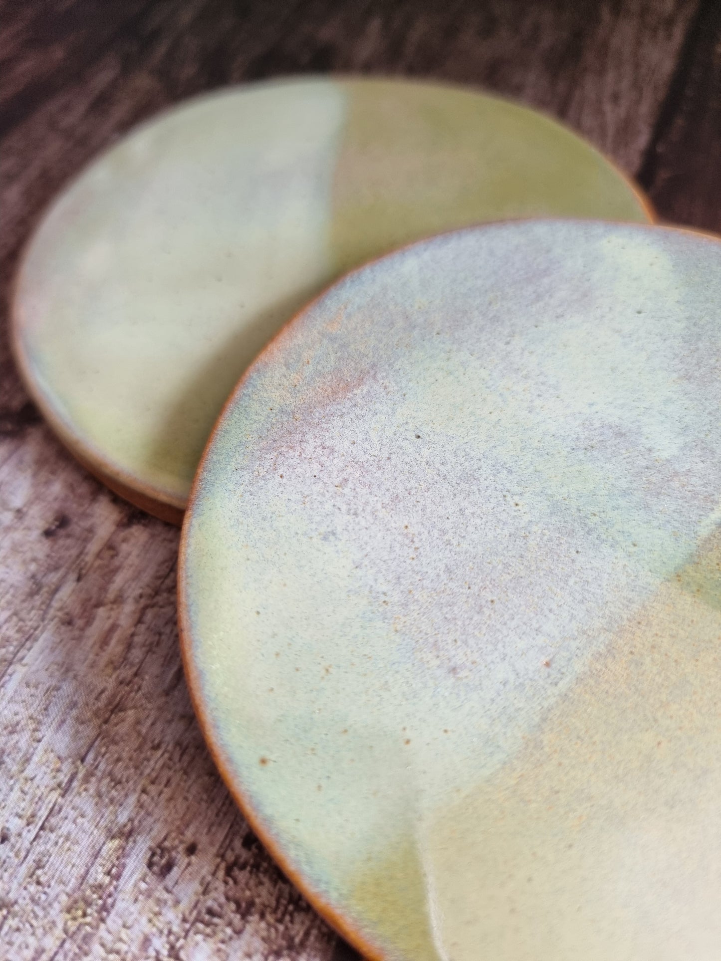 Sage Coaster Set