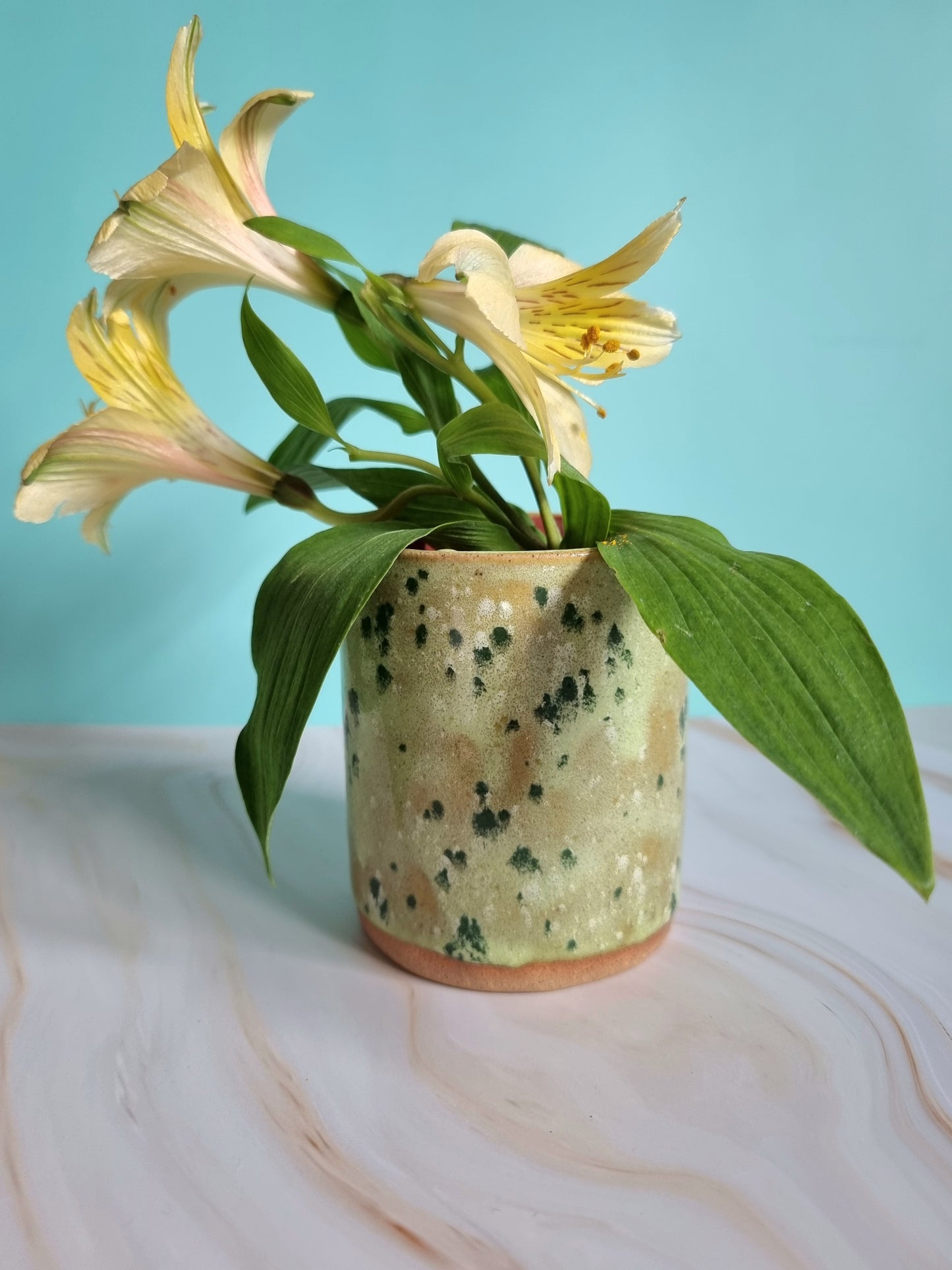Watermelon Pot