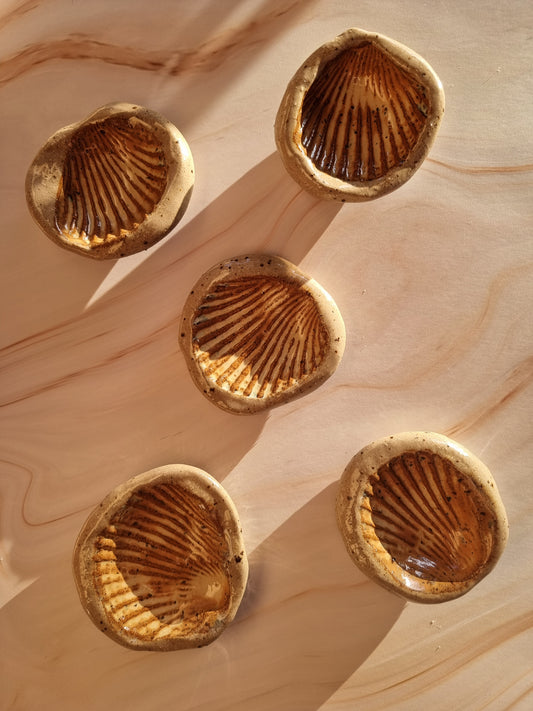 Shell Imprint Trinket Dish