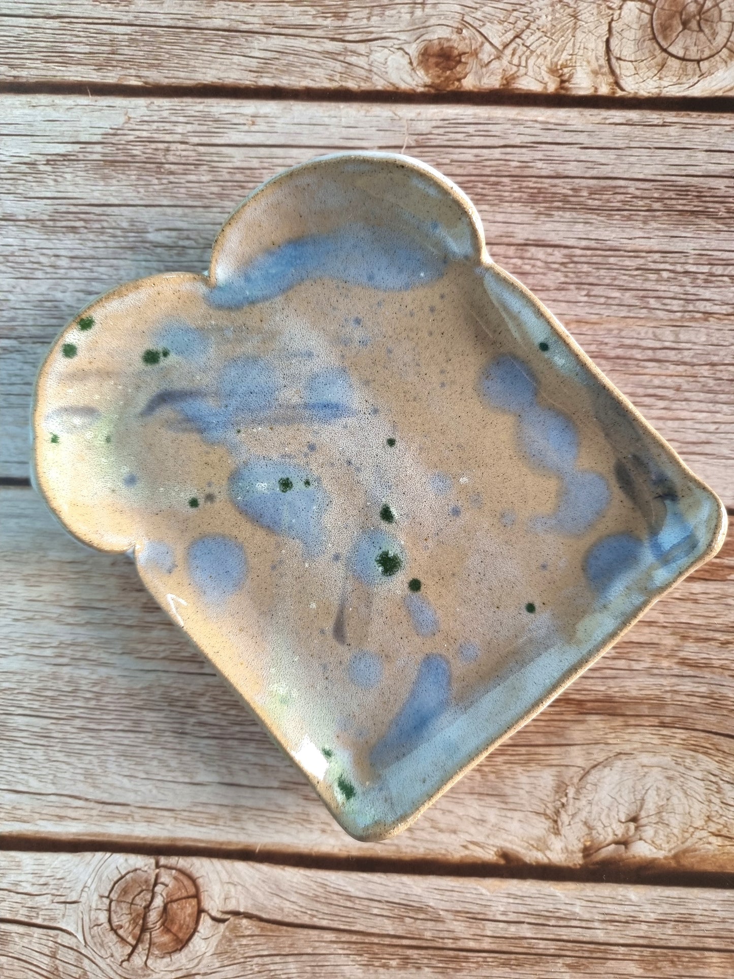 Splatter Toasty Plate