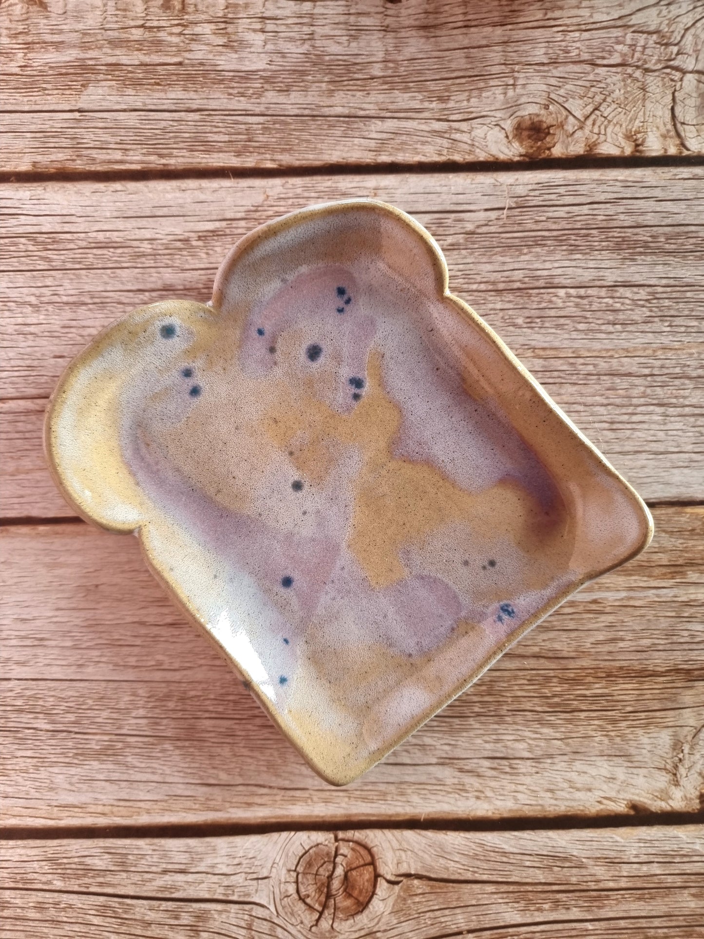 Splatter Toasty Plate