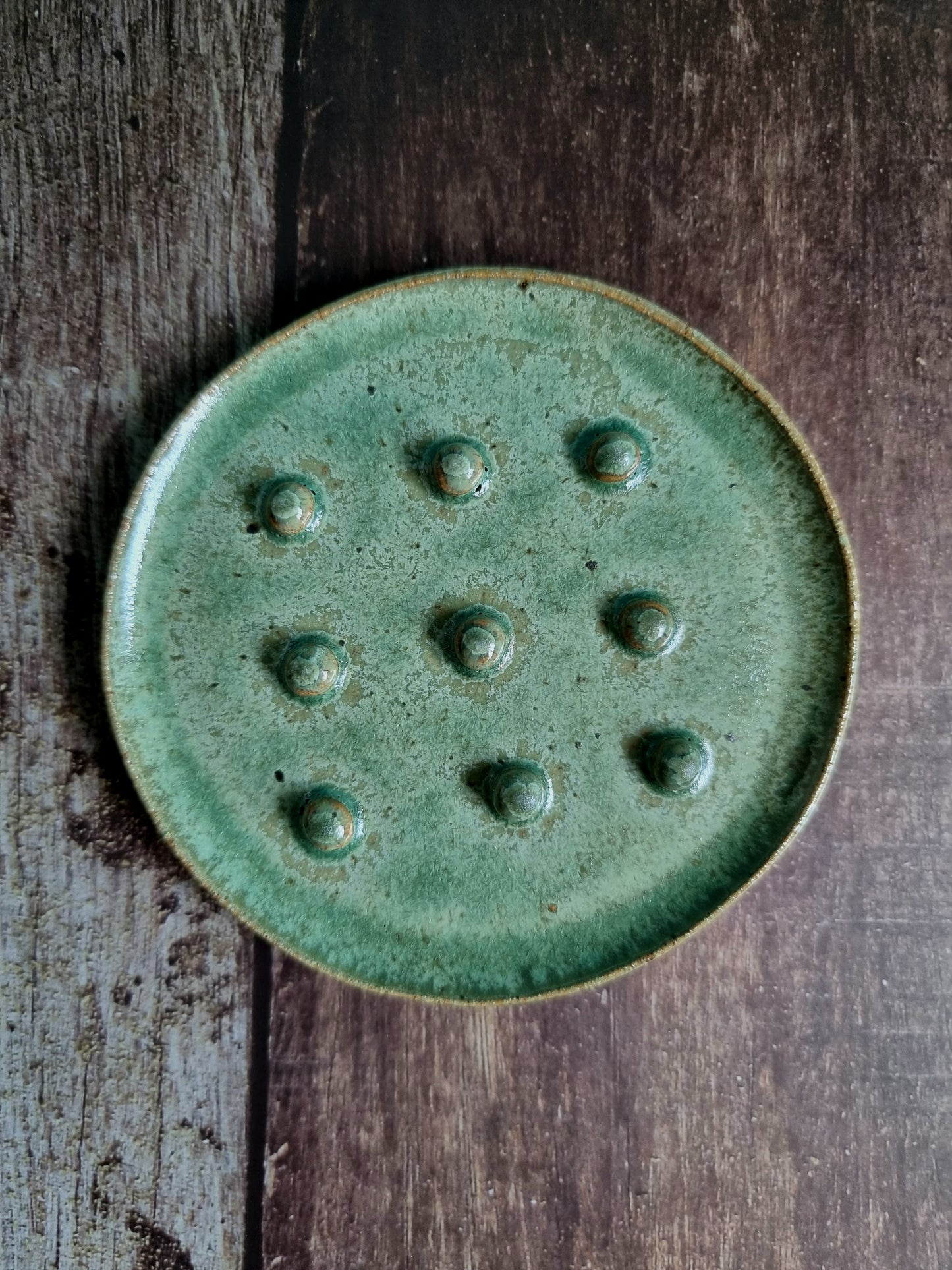 Frosted Sage Soap Dish